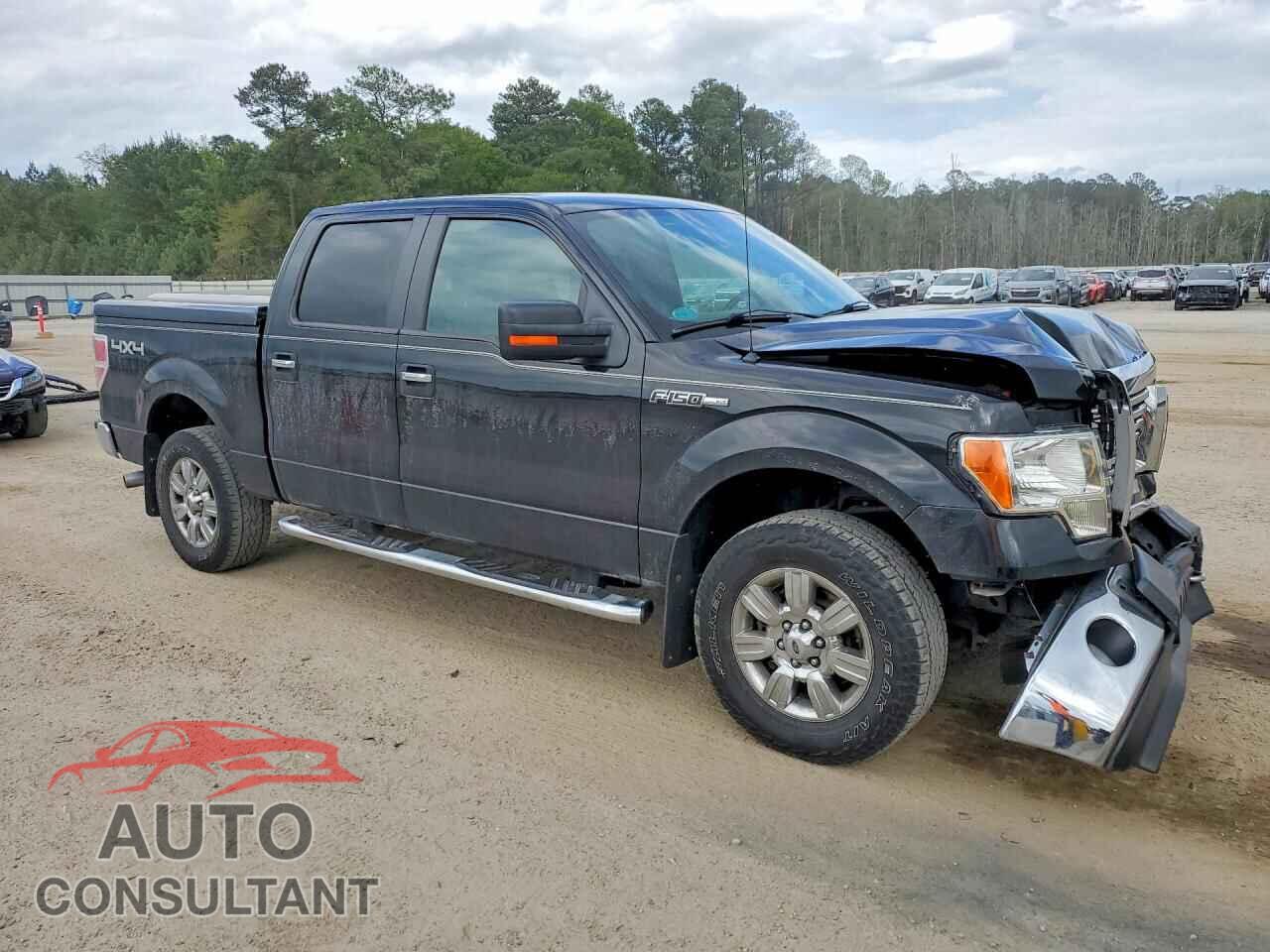 FORD F150 2012 - 1FTFW1EF4CFC52153