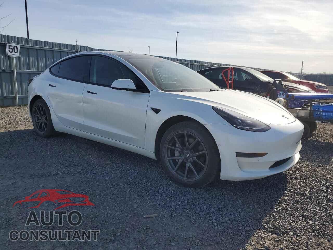 TESLA MODEL 3 2021 - 5YJ3E1EA2MF920385