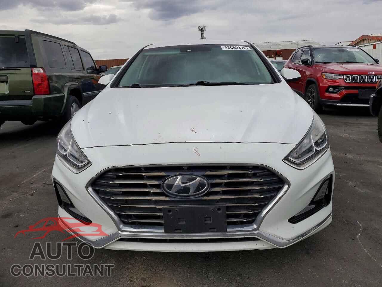 HYUNDAI SONATA 2019 - 5NPE24AF1KH775794