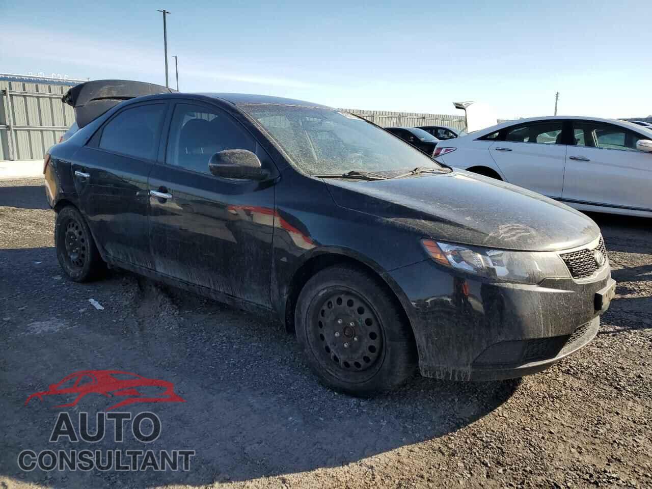 KIA FORTE 2012 - KNAFU4A25C5546304