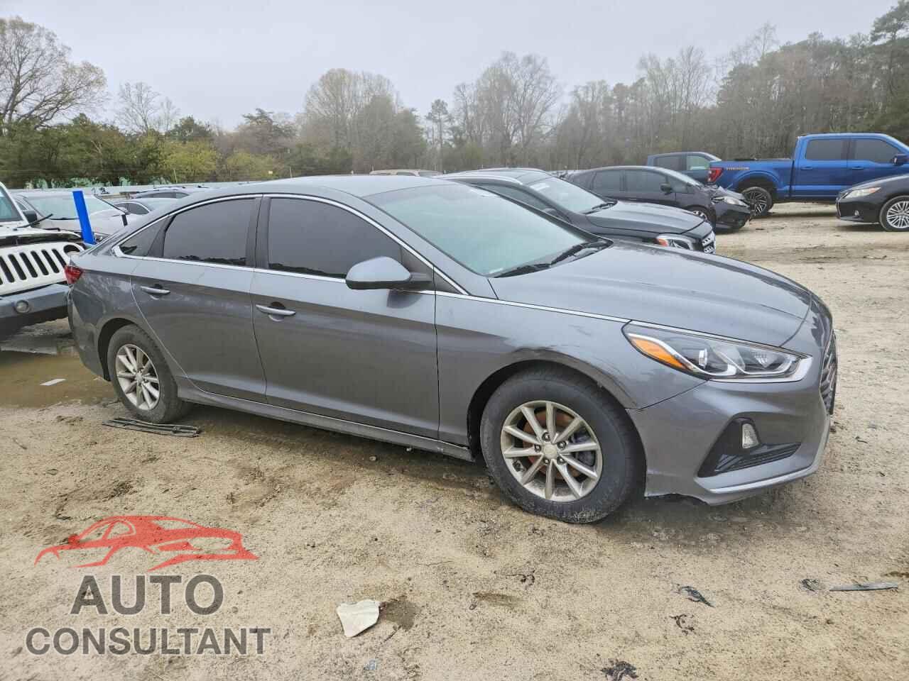 HYUNDAI SONATA 2019 - 5NPE24AF7KH794379