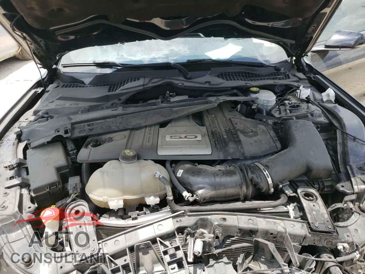 FORD MUSTANG 2019 - 1FA6P8CF4K5160866