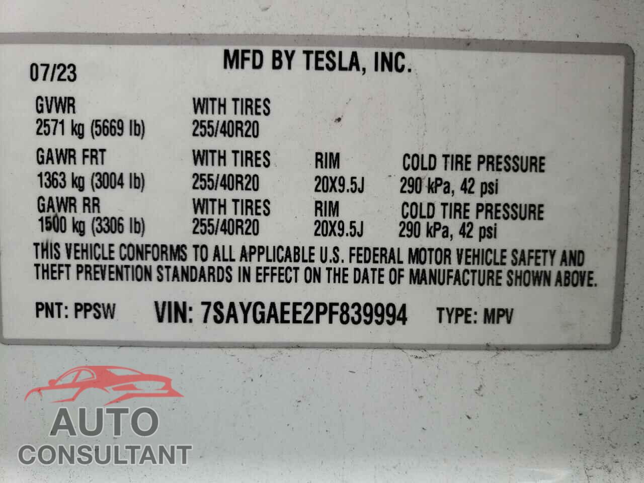 TESLA MODEL Y 2023 - 7SAYGAEE2PF839994