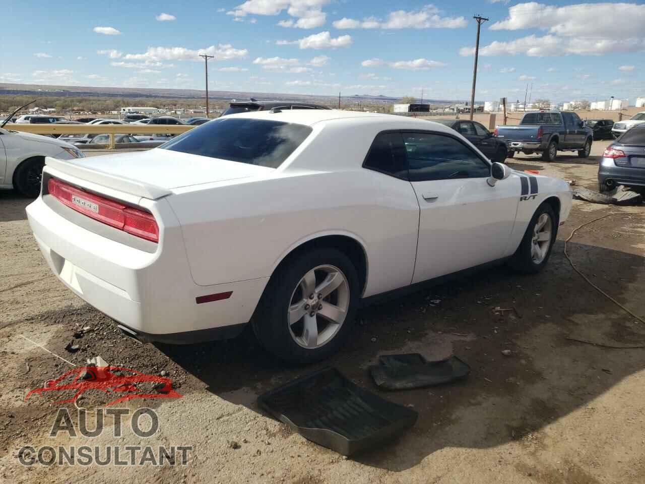 DODGE CHALLENGER 2013 - 2C3CDYBT3DH535790