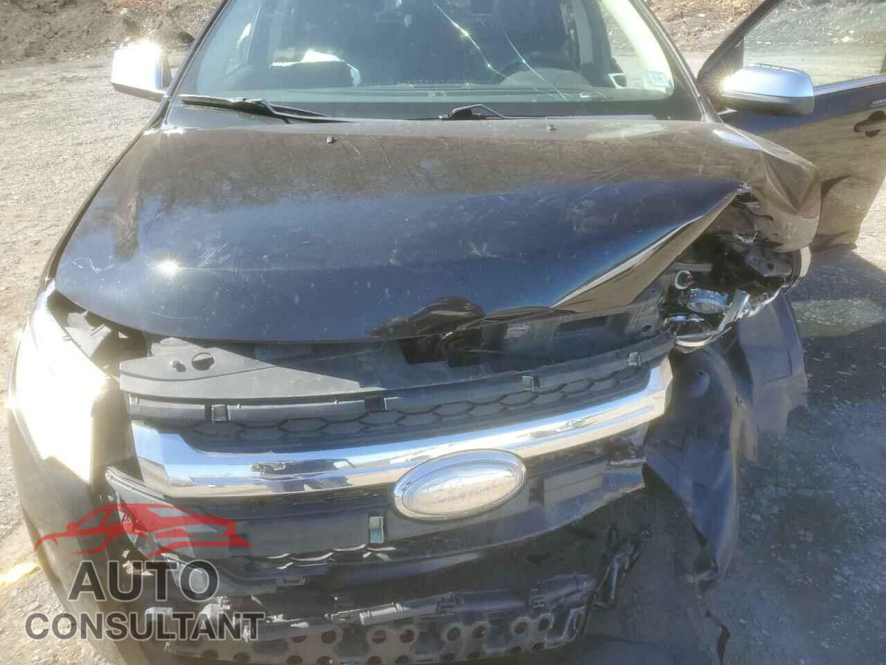 FORD EDGE 2011 - 2FMDK4KC5BBB65775