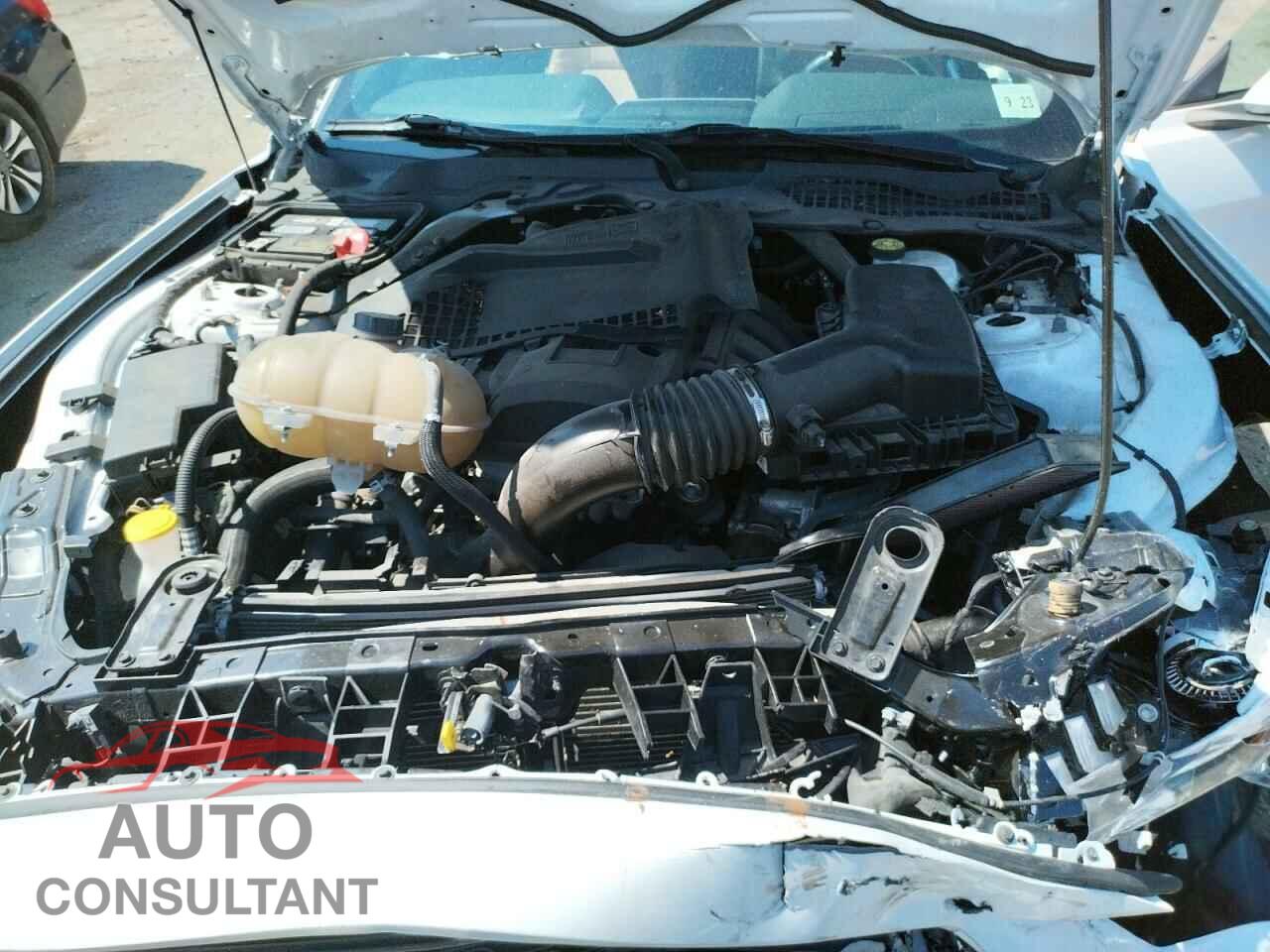 FORD MUSTANG 2018 - 1FA6P8TH2J5173955