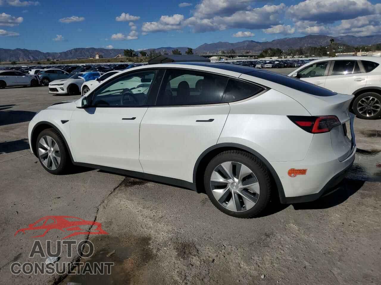 TESLA MODEL Y 2020 - 5YJYGDEEXLF054521
