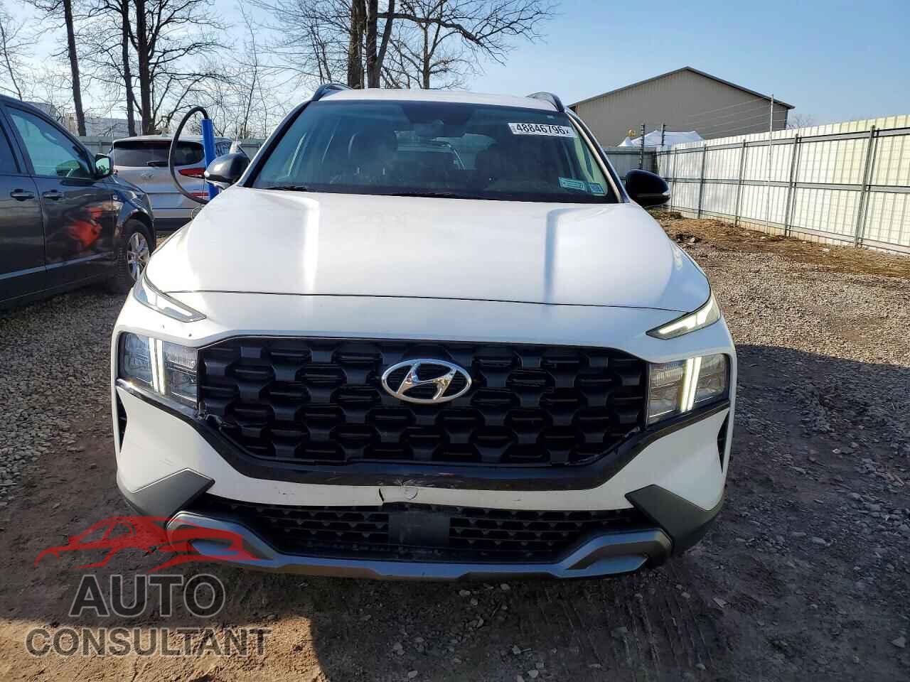 HYUNDAI SANTA FE 2023 - 5NMS6DAJ4PH514014