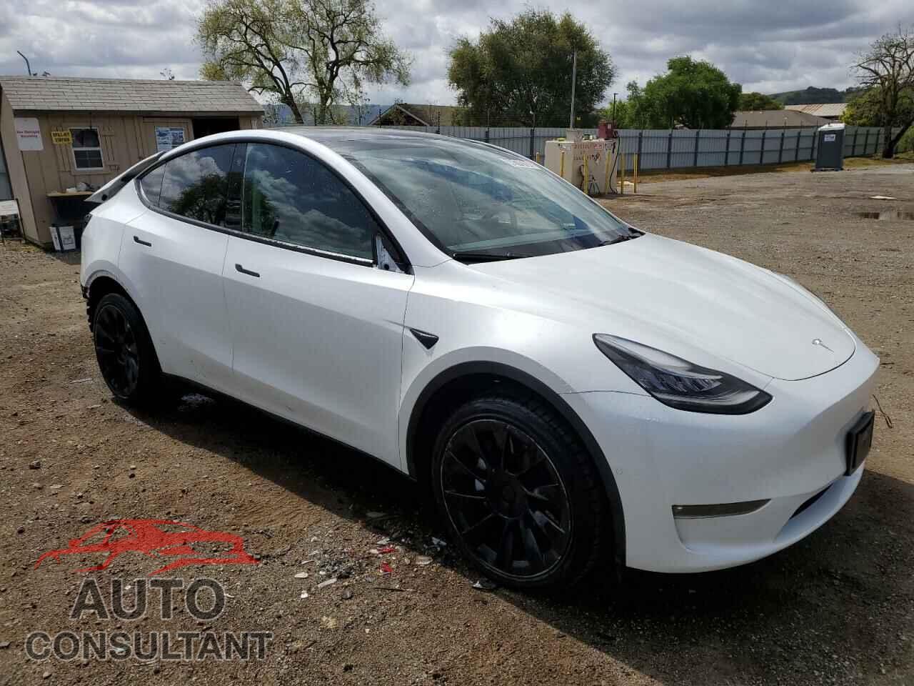 TESLA MODEL Y 2022 - 7SAYGDEE4NF481084