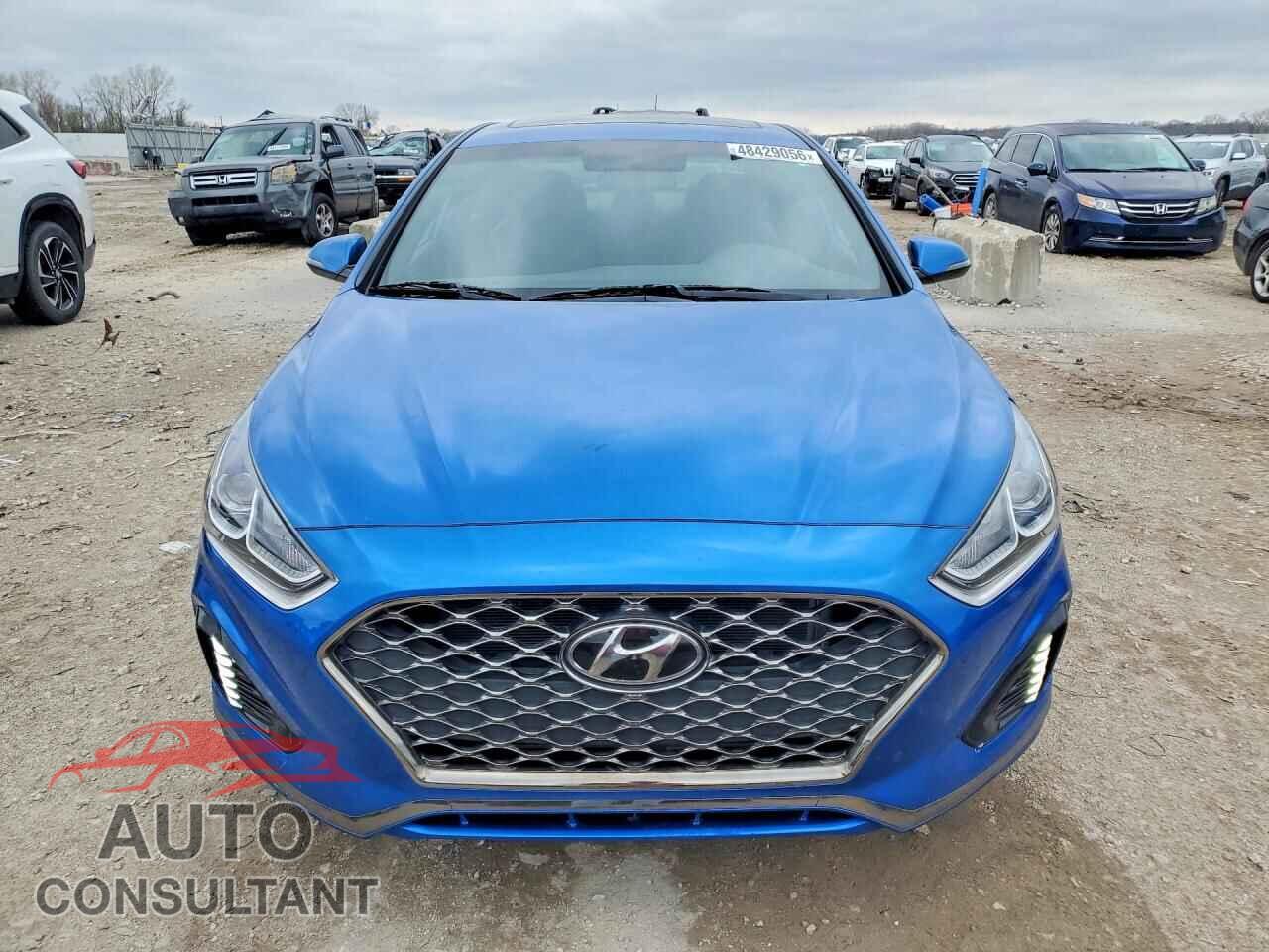 HYUNDAI SONATA 2019 - 5NPE34AF4KH762602