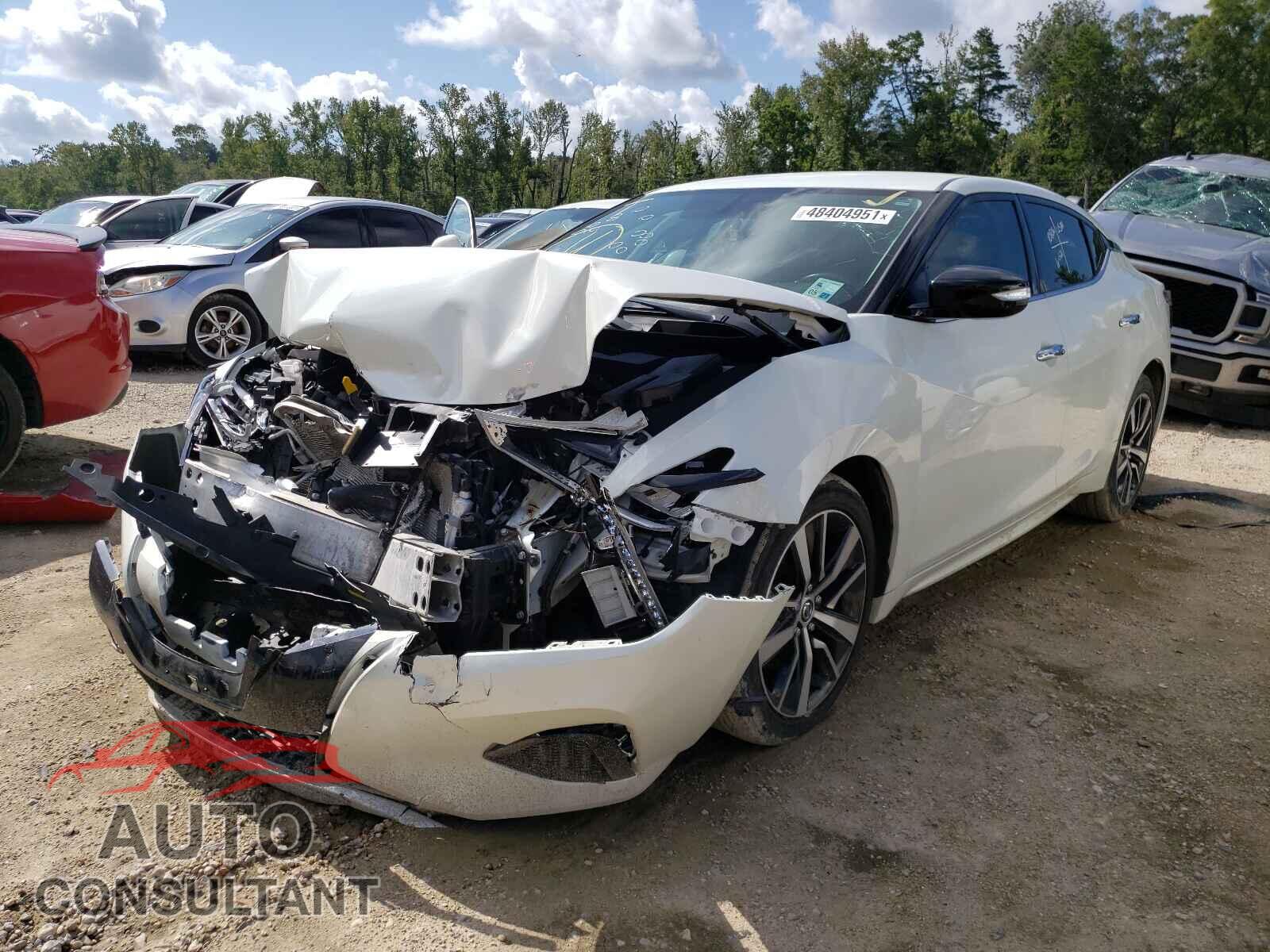 NISSAN MAXIMA 2019 - 1N4AA6AV2KC369593