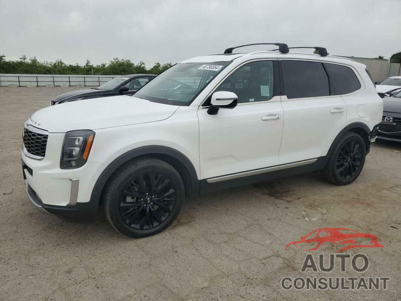 KIA TELLURIDE 2021 - 5XYP5DHC0MG101173