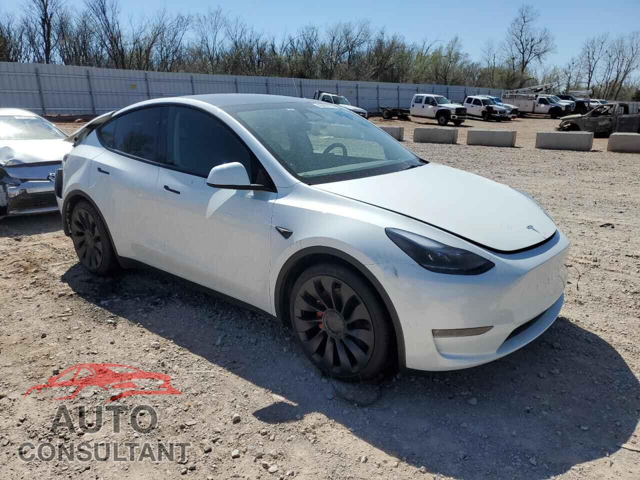 TESLA MODEL Y 2024 - 7SAYGDEF5RF189992