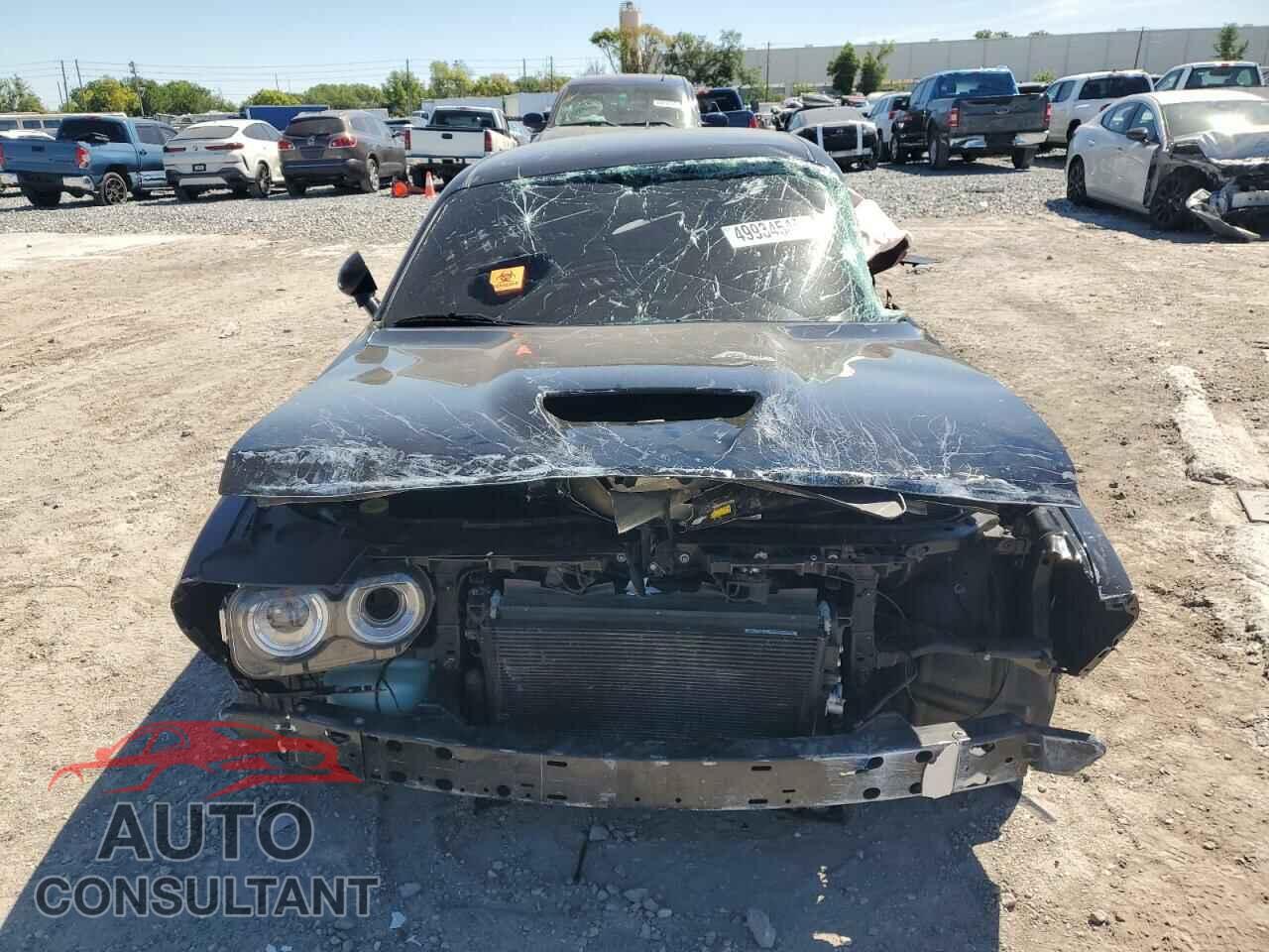 DODGE CHALLENGER 2016 - 2C3CDZFJ9GH169031