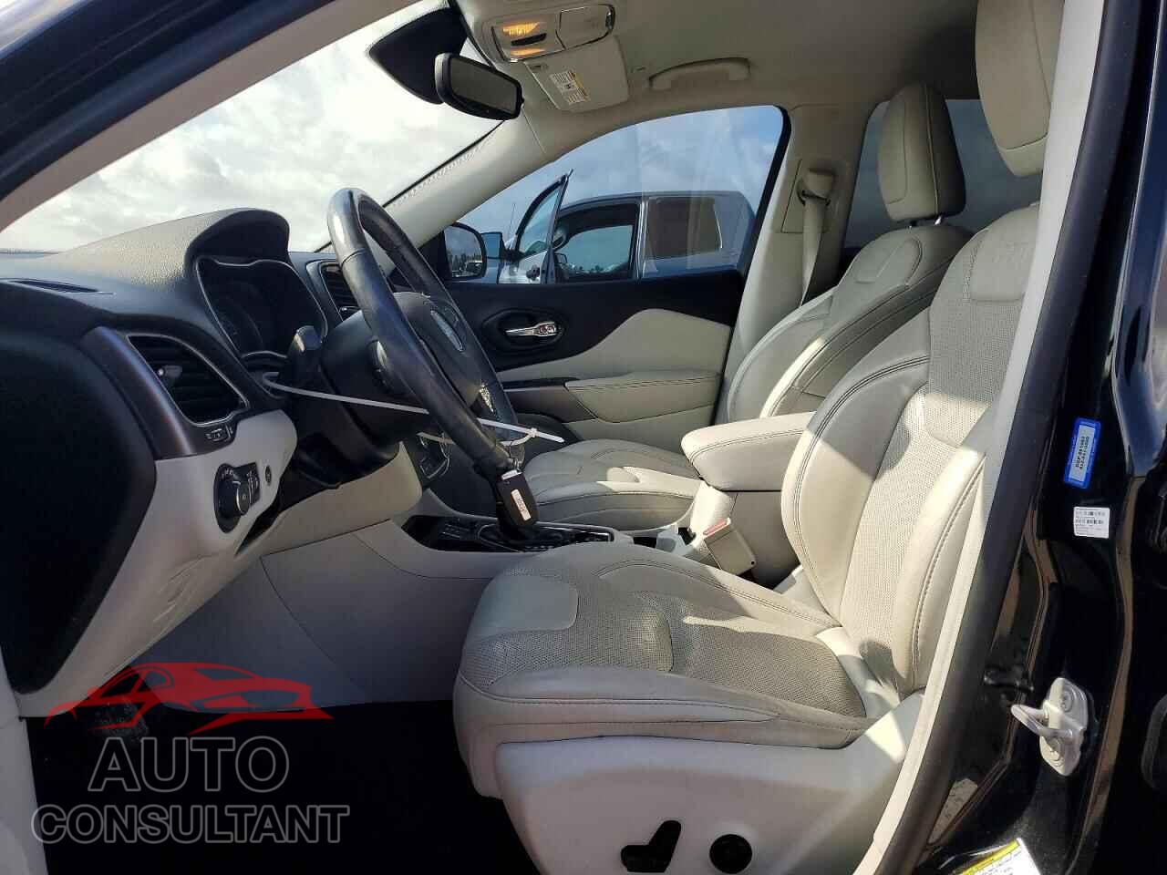 JEEP CHEROKEE 2019 - 1C4PJLDB9KD466157