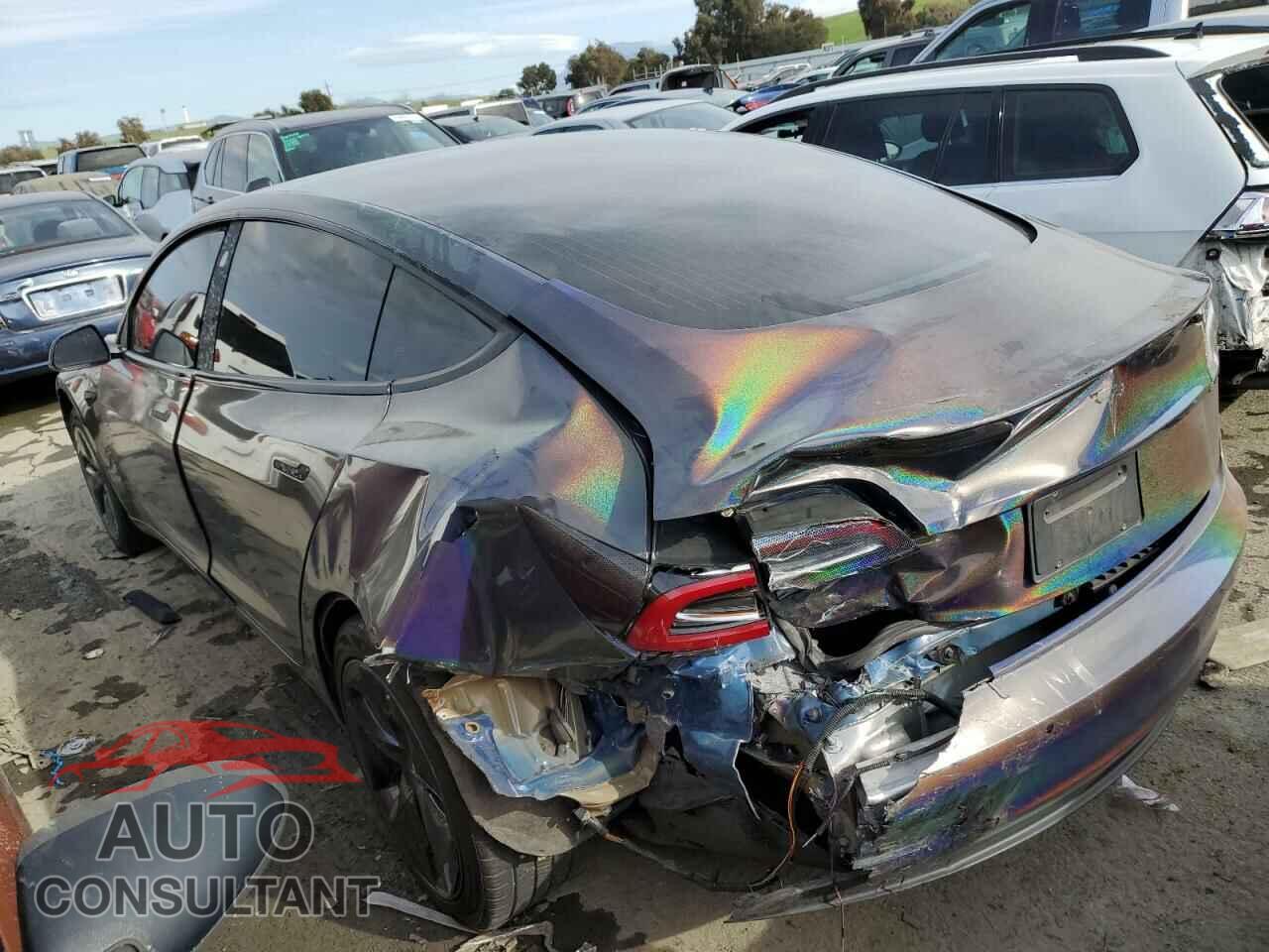 TESLA MODEL 3 2019 - 5YJ3E1EA9KF400830