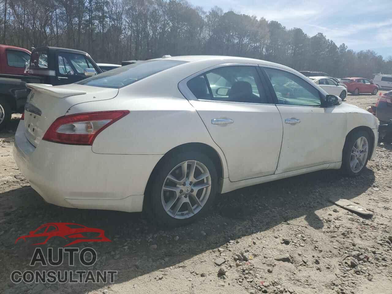 NISSAN MAXIMA 2010 - 1N4AA5AP1AC844354