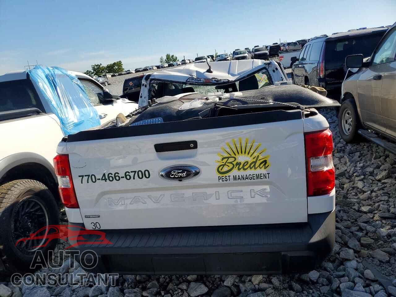 FORD MAVERICK 2024 - 3FTTW8H30RRB55766