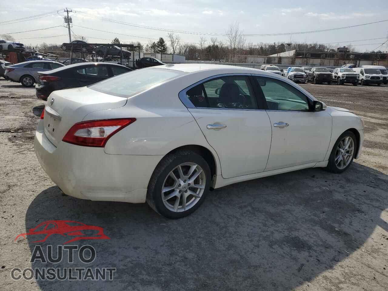 NISSAN MAXIMA 2011 - 1N4AA5APXBC859405