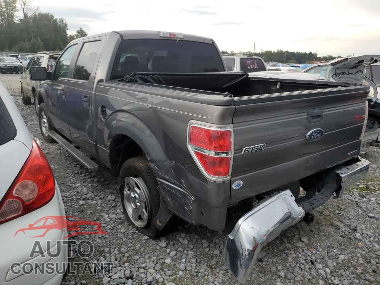 FORD F-150 2014 - 1FTEW1CM1EKD70930