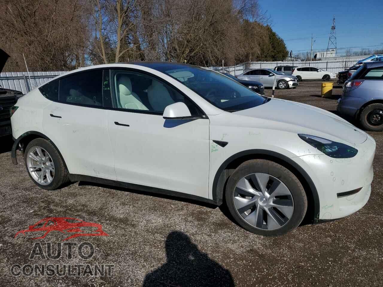 TESLA MODEL Y 2023 - 7SAYGAEE2PF758235