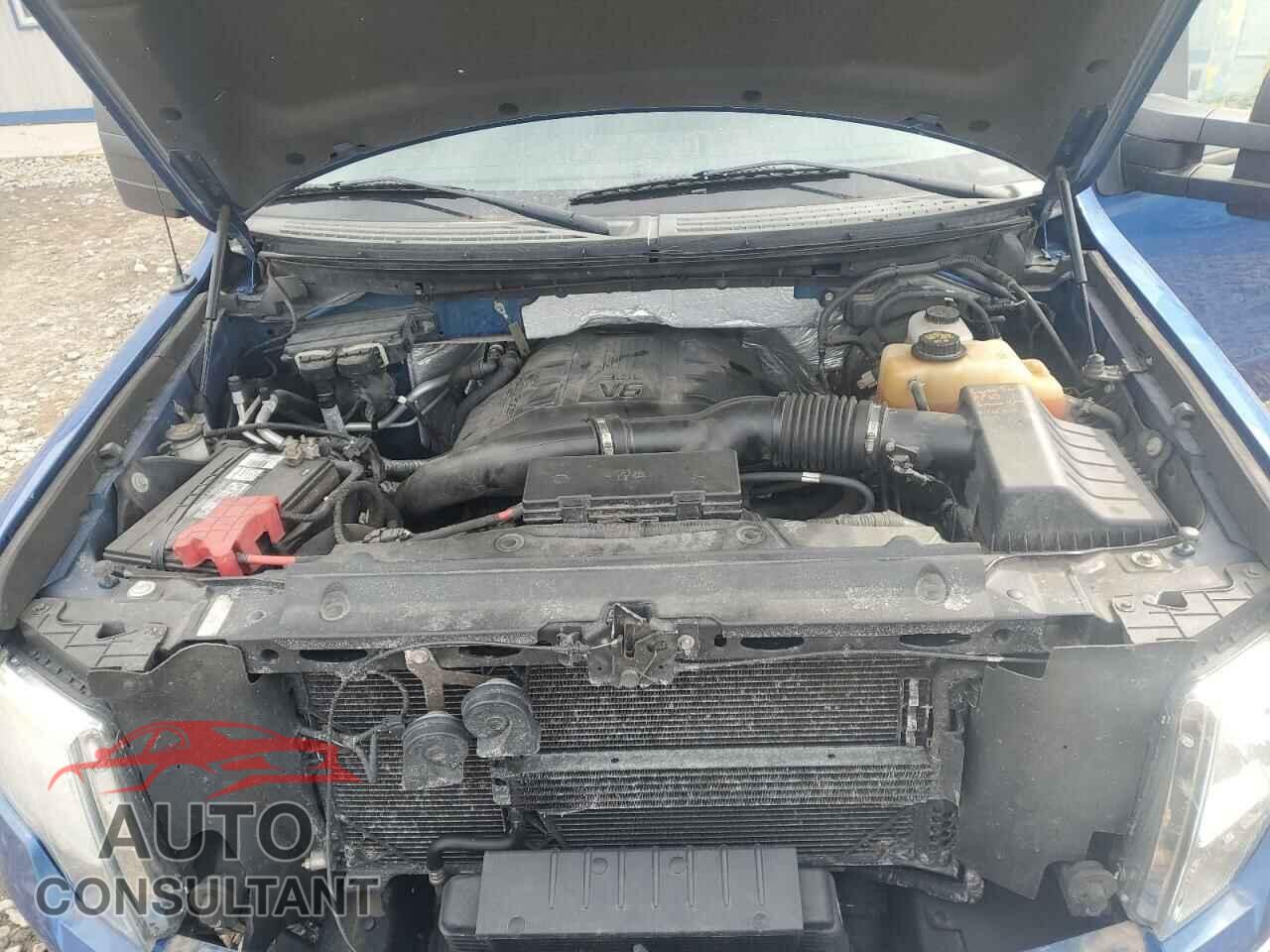FORD F-150 2011 - 1FTFX1ET8BKD46867