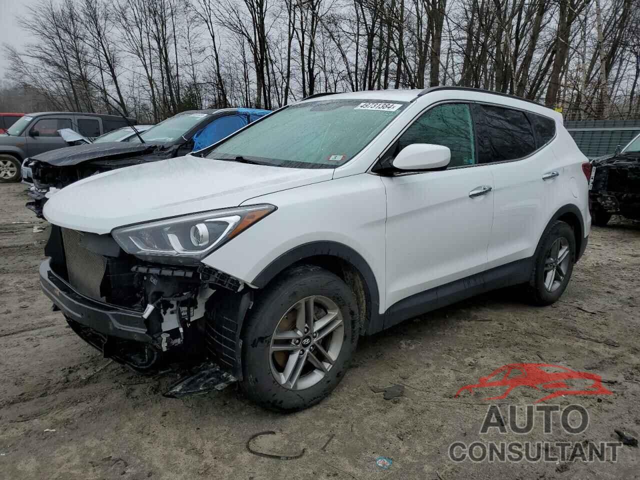 HYUNDAI SANTA FE 2017 - 5NMZUDLB4HH030324