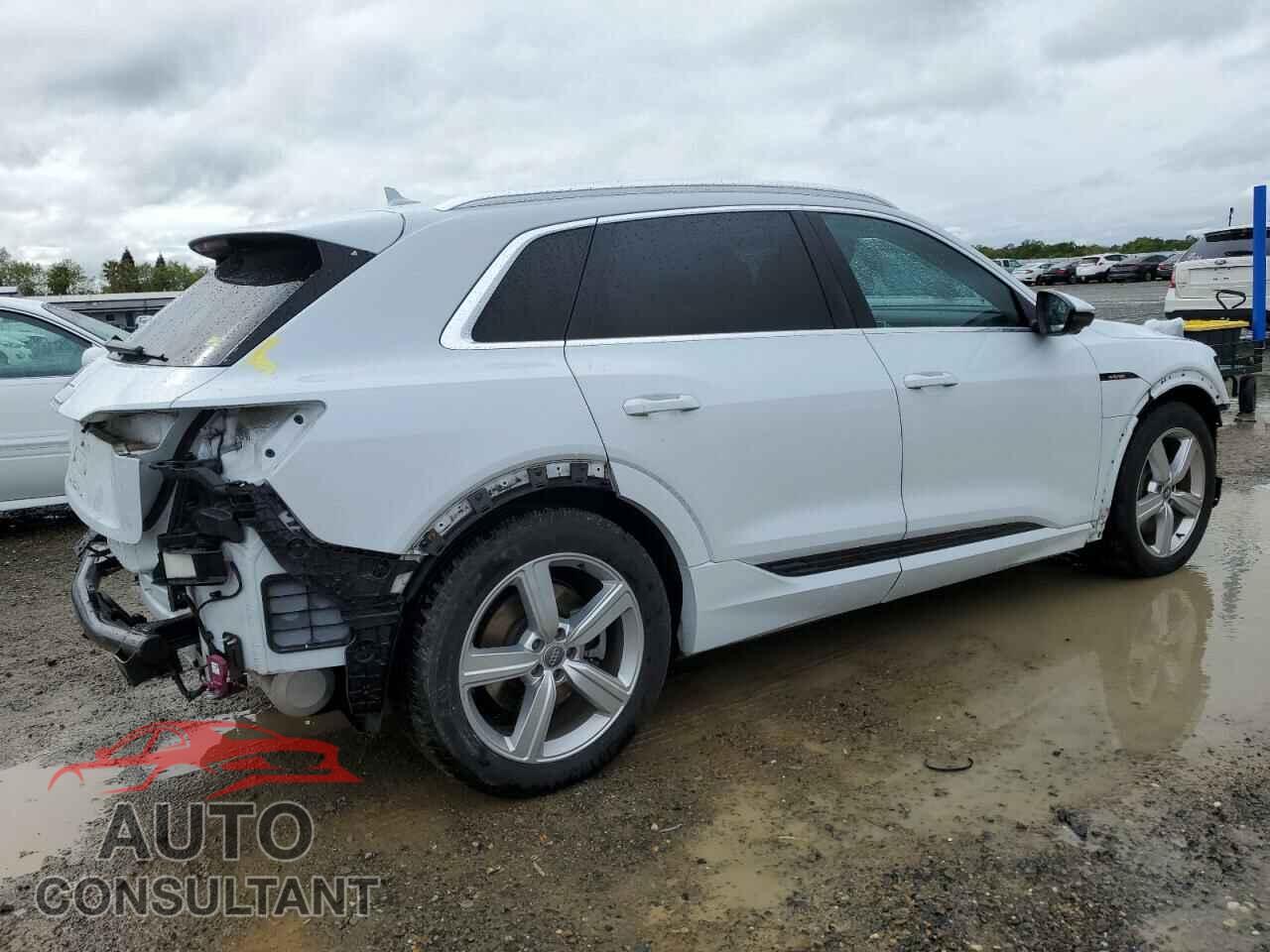 AUDI E-TRON 2019 - WA1LAAGE0KB022244