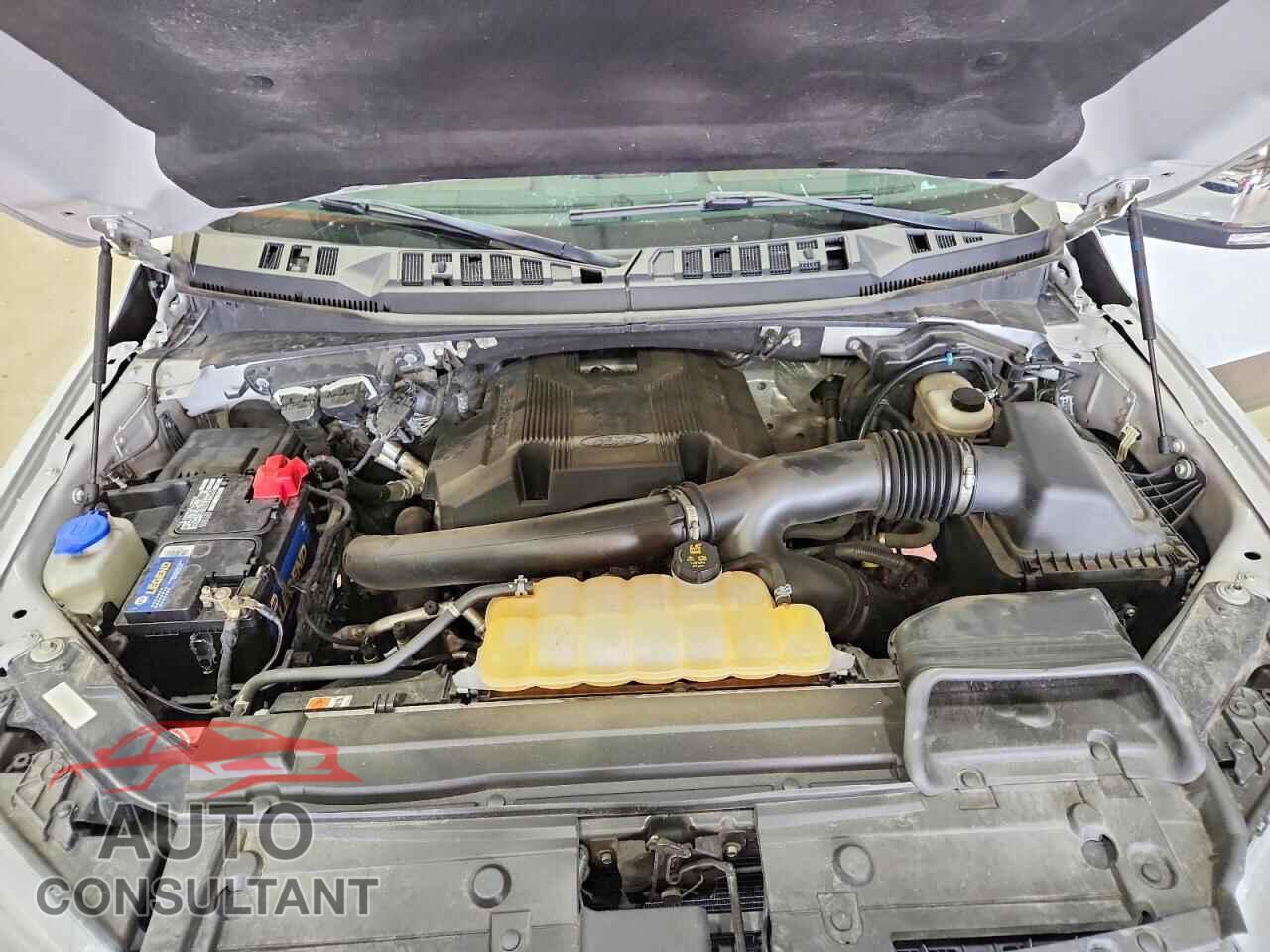 FORD F150 2019 - 1FTEW1E46KFA10635