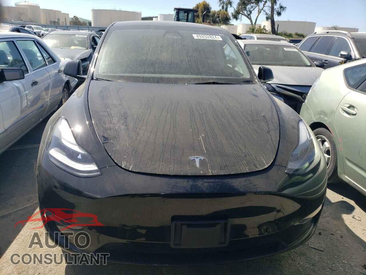 TESLA MODEL Y 2023 - 7SAYGAEE2PF875085