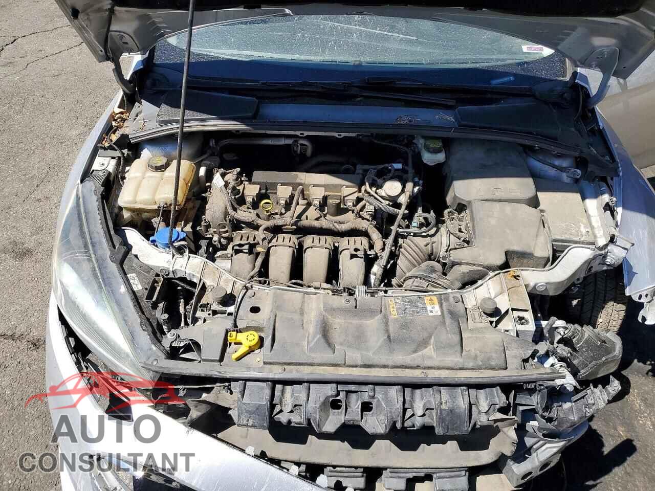 FORD FOCUS 2017 - 1FADP3H28HL258013
