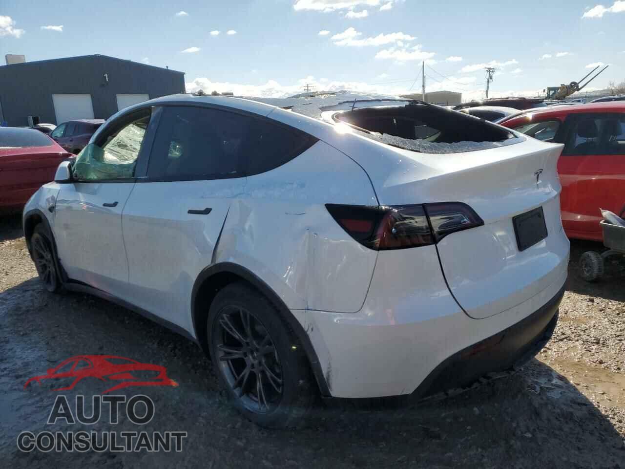 TESLA MODEL Y 2025 - 7SAYGDEE0SF305905