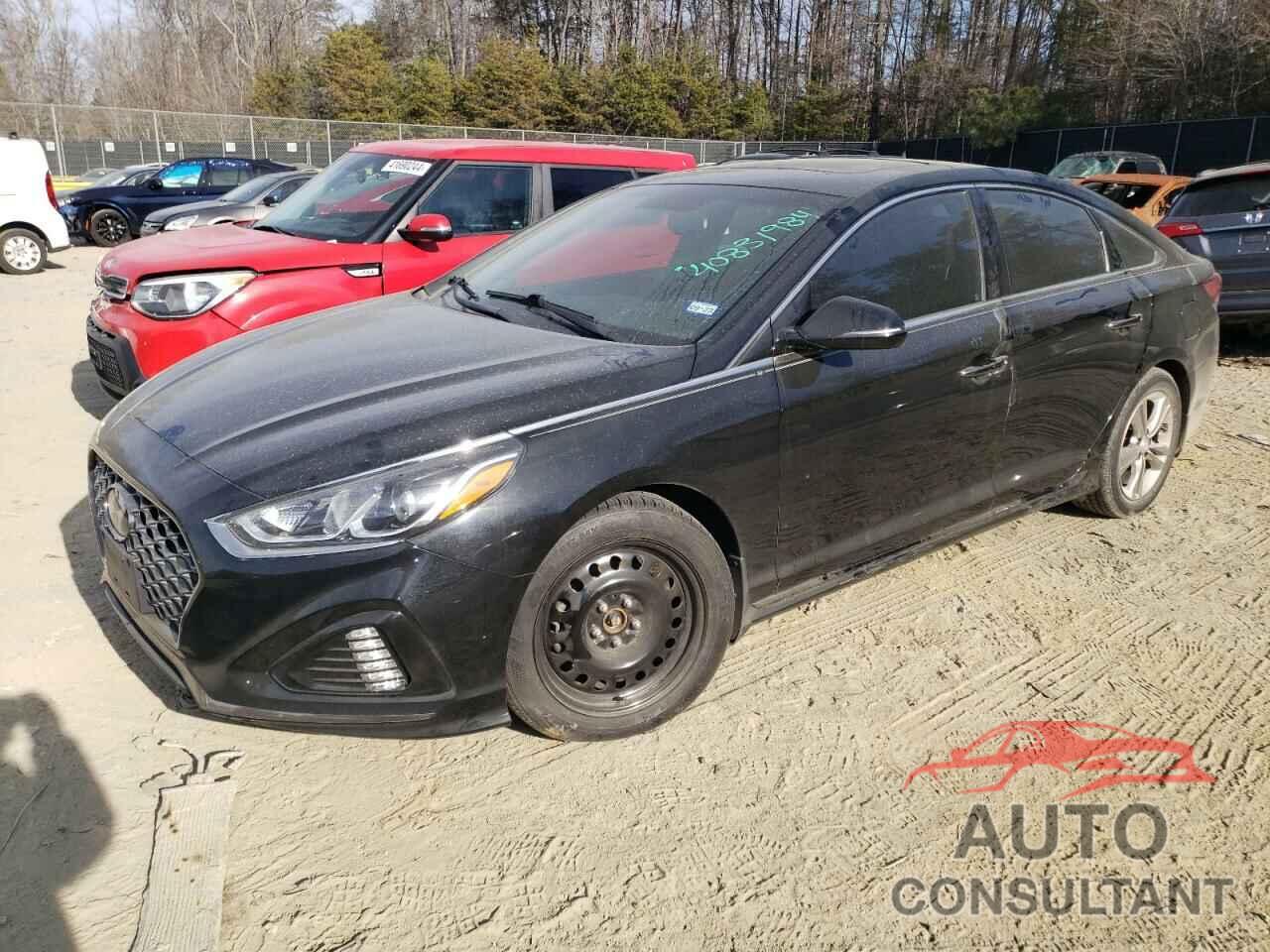 HYUNDAI SONATA 2019 - 5NPE34AF5KH784494