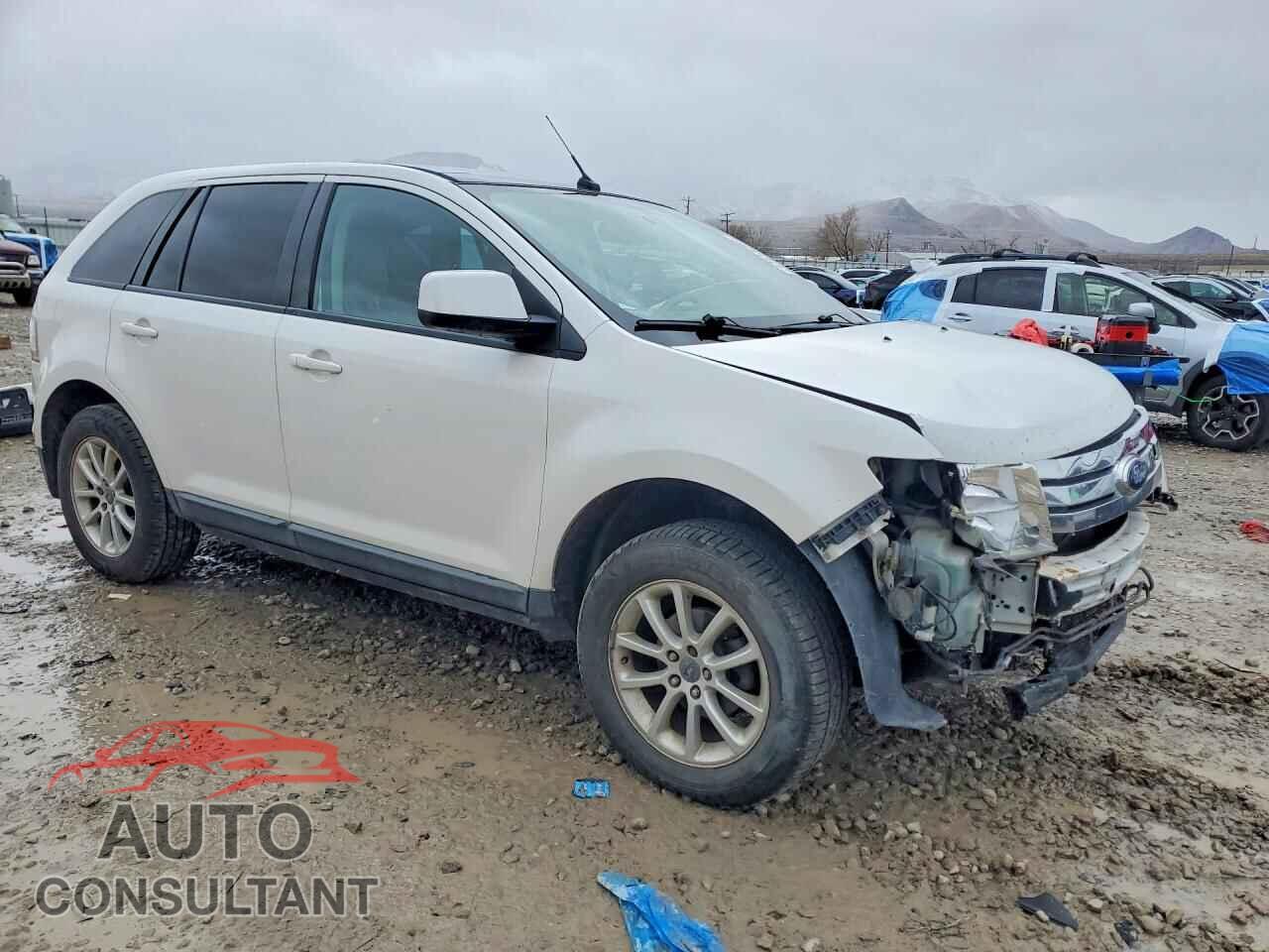 FORD EDGE 2009 - 2FMDK38C09BA53364