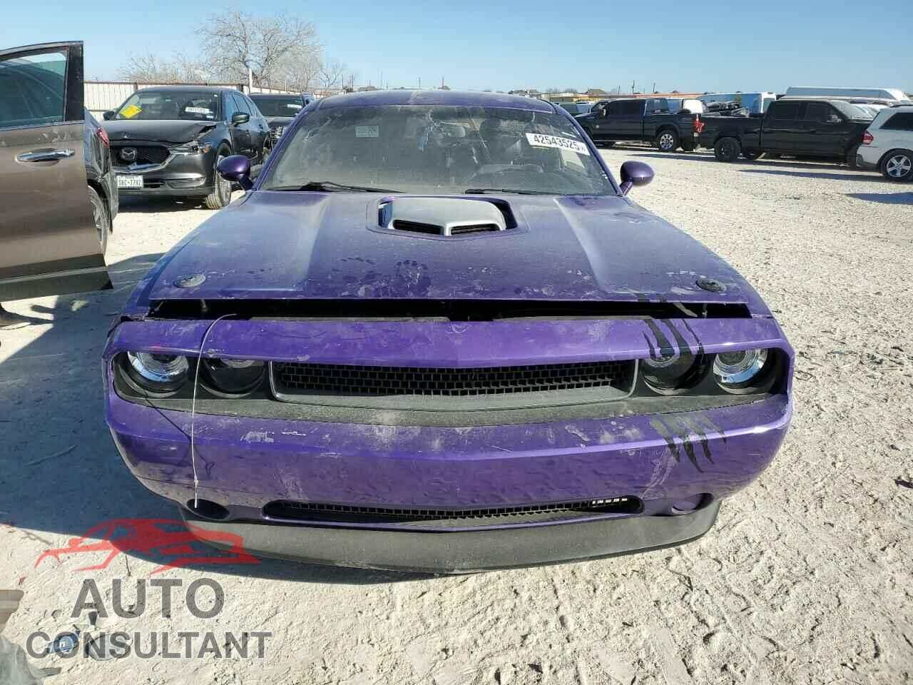 DODGE CHALLENGER 2014 - 2C3CDYBTXEH123724