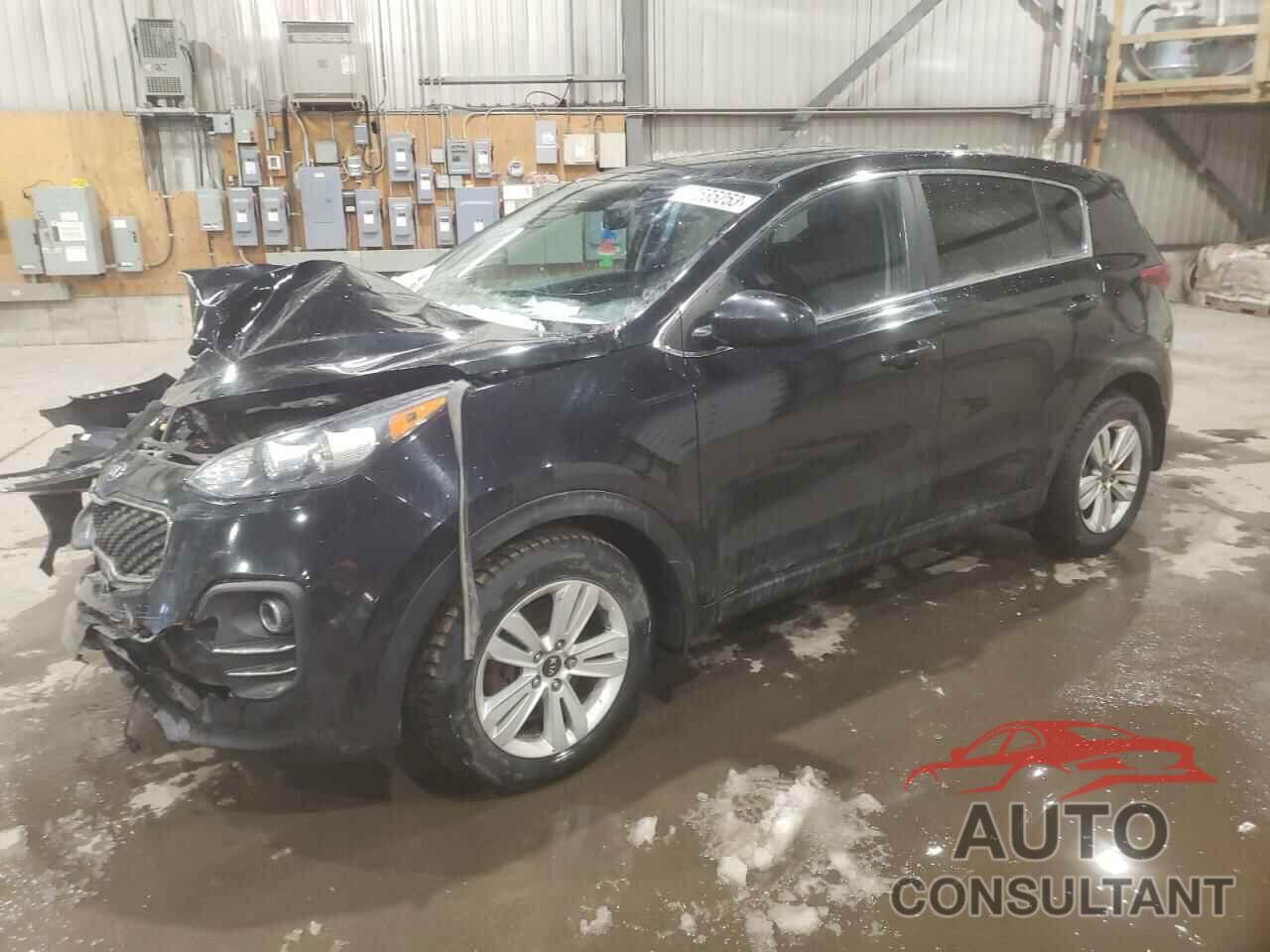 KIA SPORTAGE 2017 - KNDPM3AC0H7210775