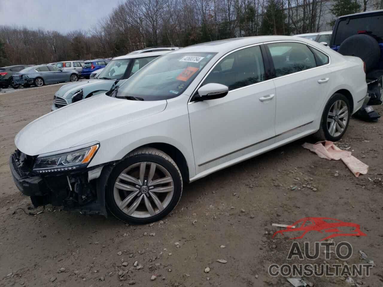 VOLKSWAGEN PASSAT 2017 - 1VWGT7A31HC043597