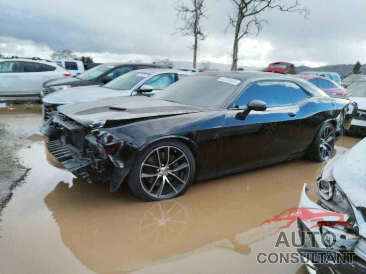 DODGE CHALLENGER 2016 - 2C3CDZFJ8GH153290