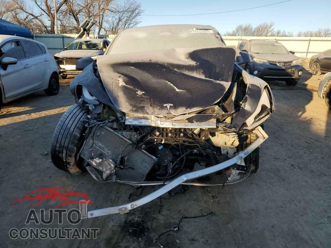 TESLA MODEL Y 2024 - 7SAYGDEF8RF034384