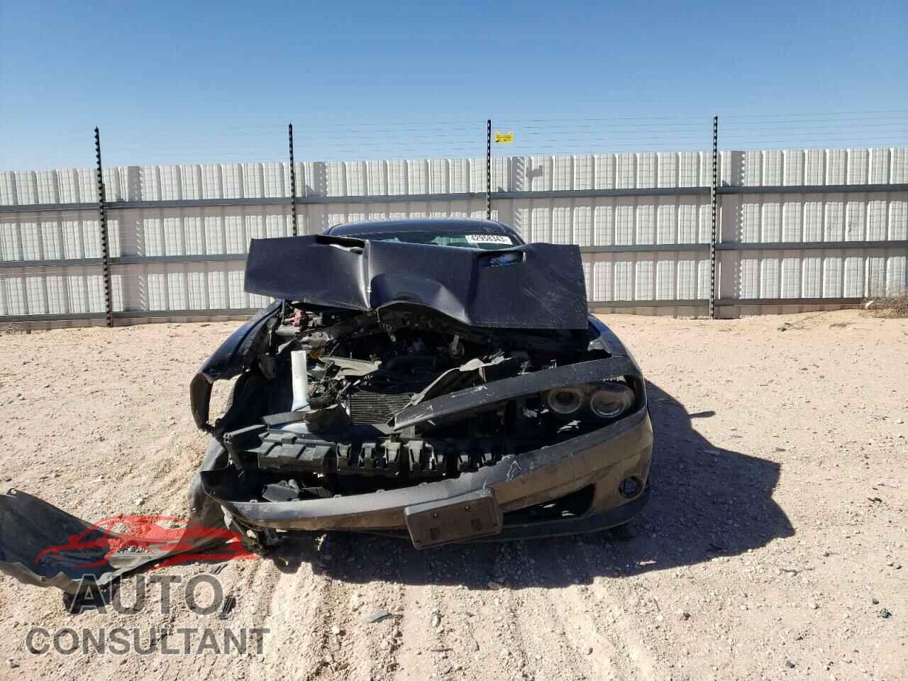 DODGE CHALLENGER 2019 - 2C3CDZAG9KH591255