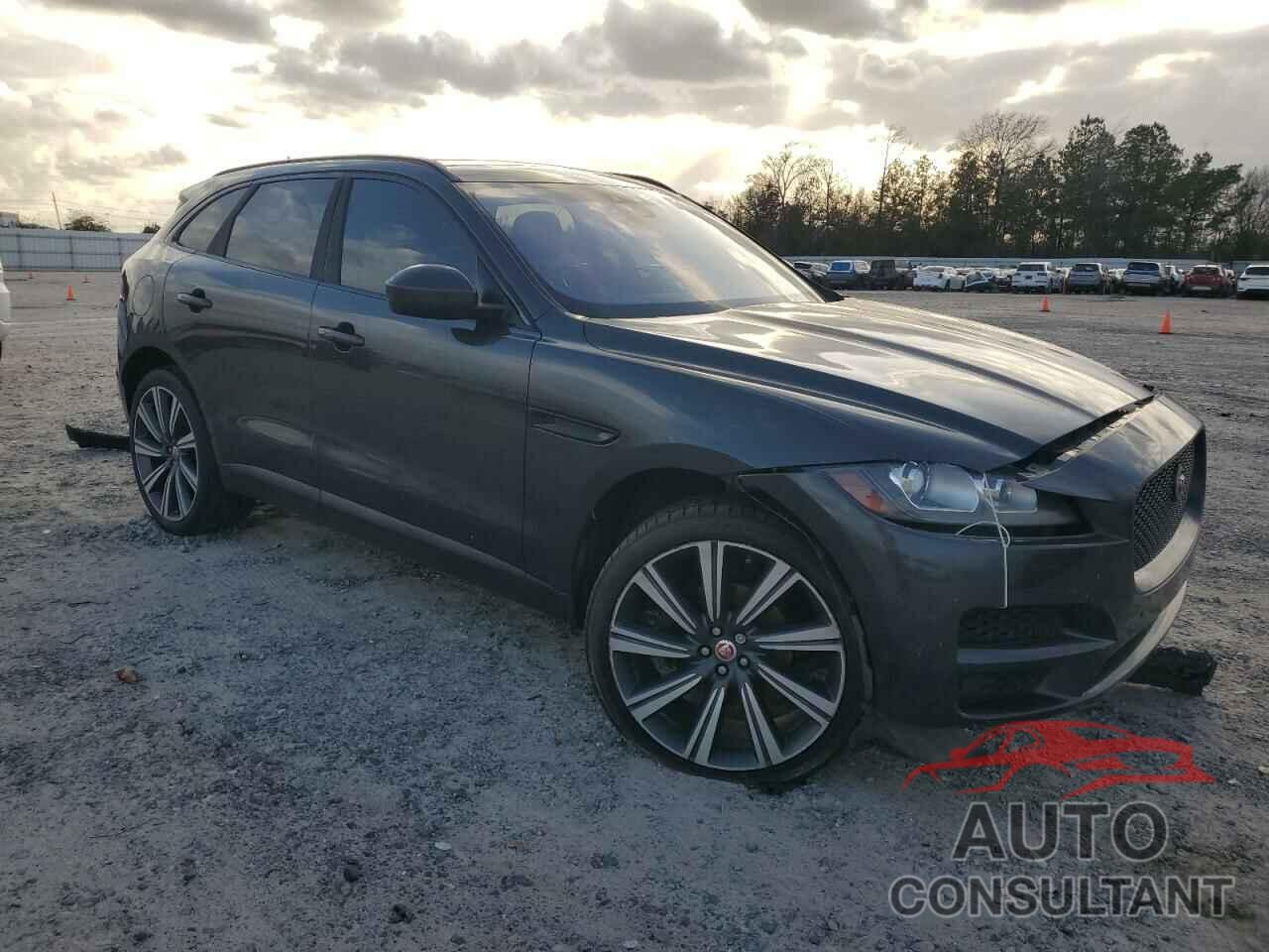 JAGUAR F-PACE 2019 - SADCK2FX1KA351766