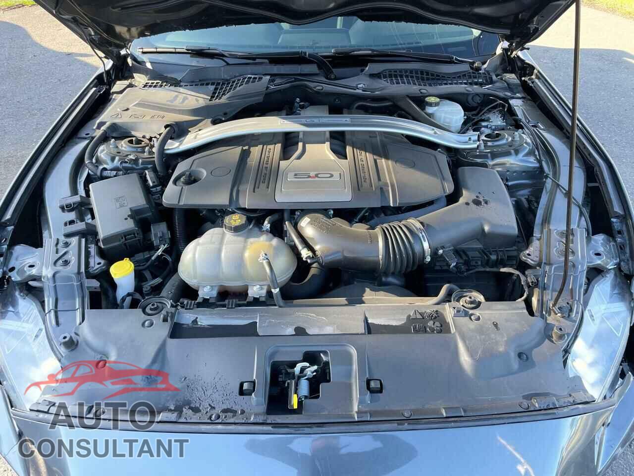 FORD MUSTANG 2019 - 1FA6P8CF3K5202377
