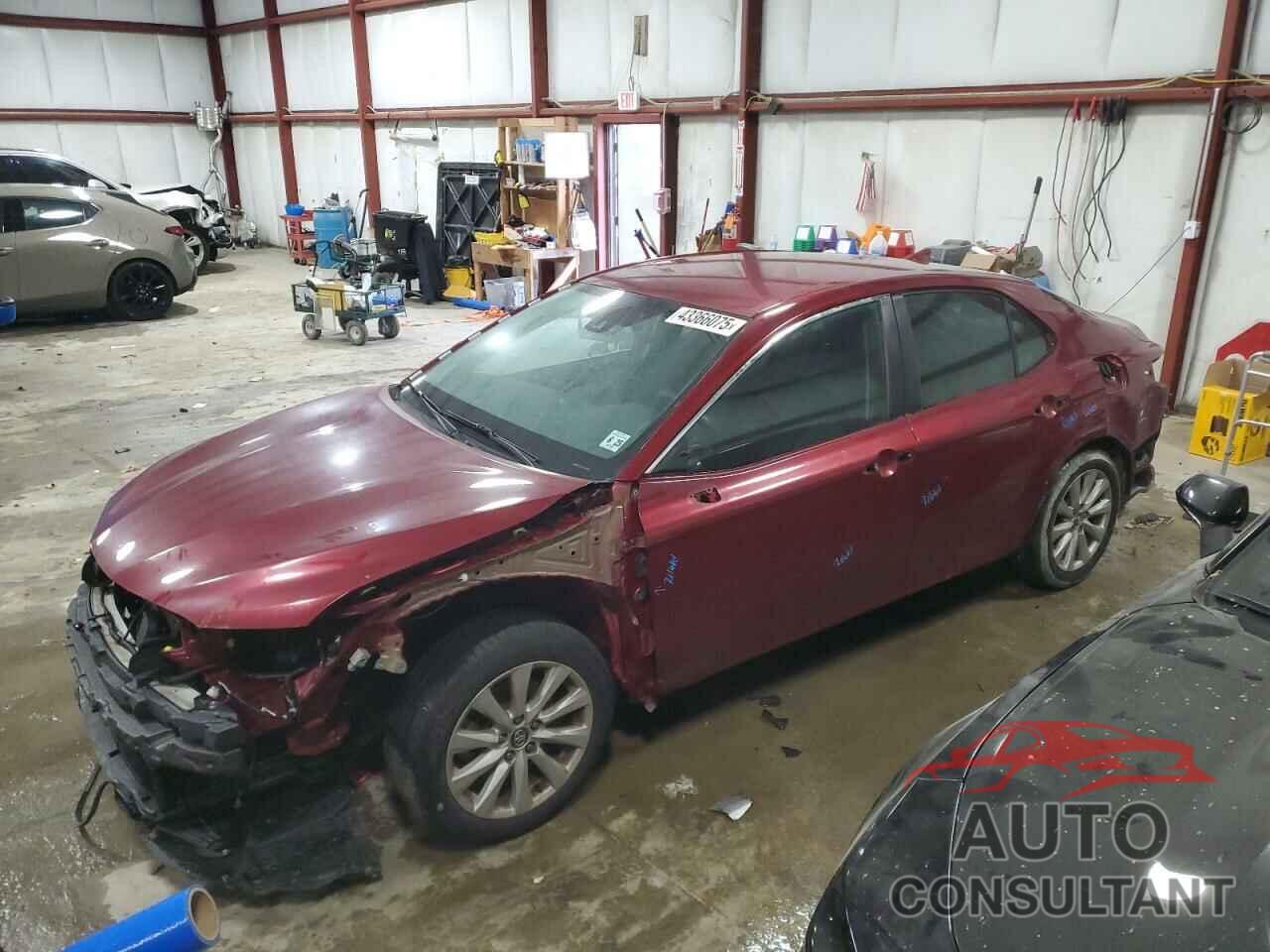 TOYOTA CAMRY 2020 - 4T1C11AK0LU881971