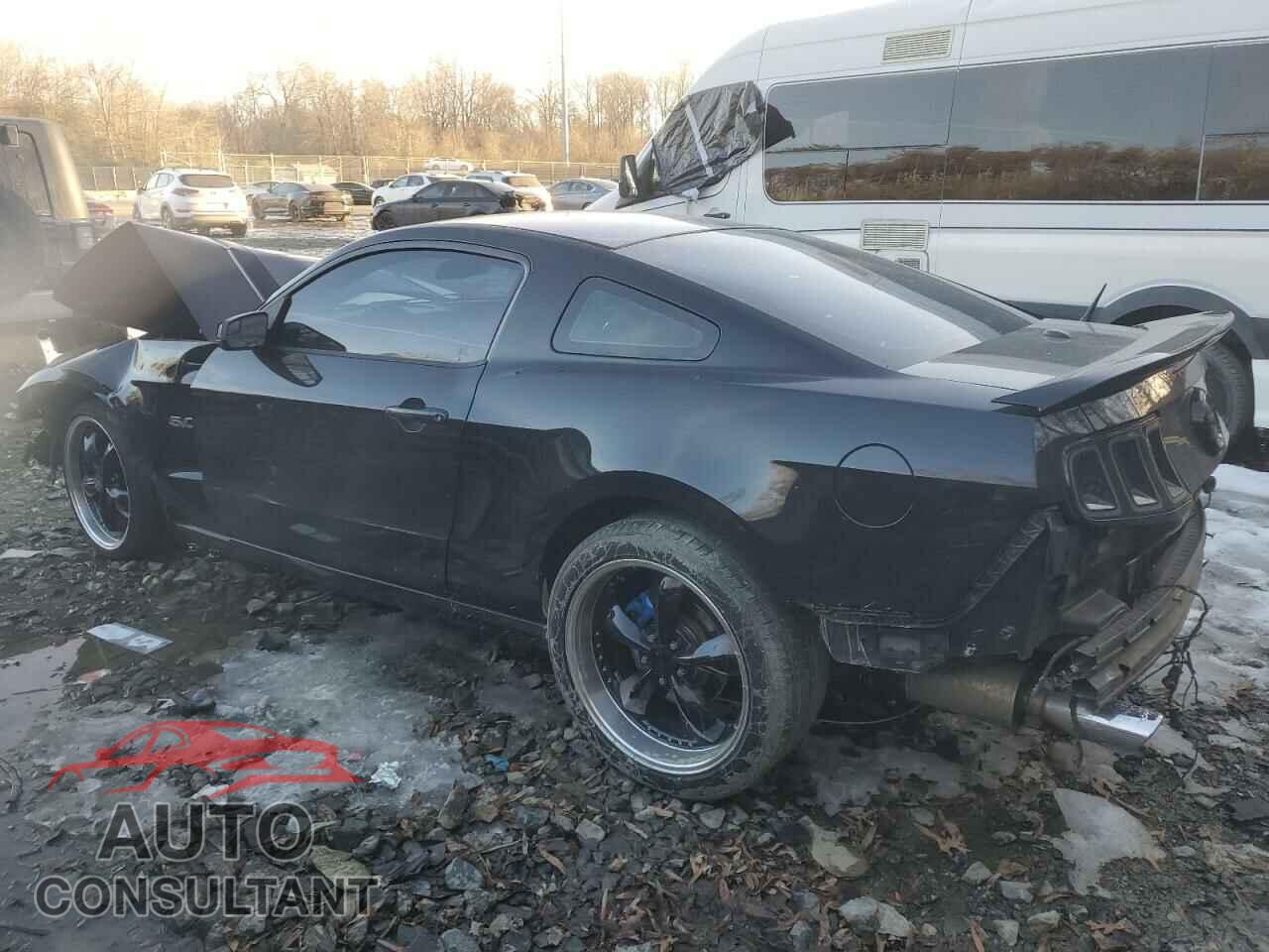 FORD MUSTANG 2012 - 1ZVBP8CF1C5263105