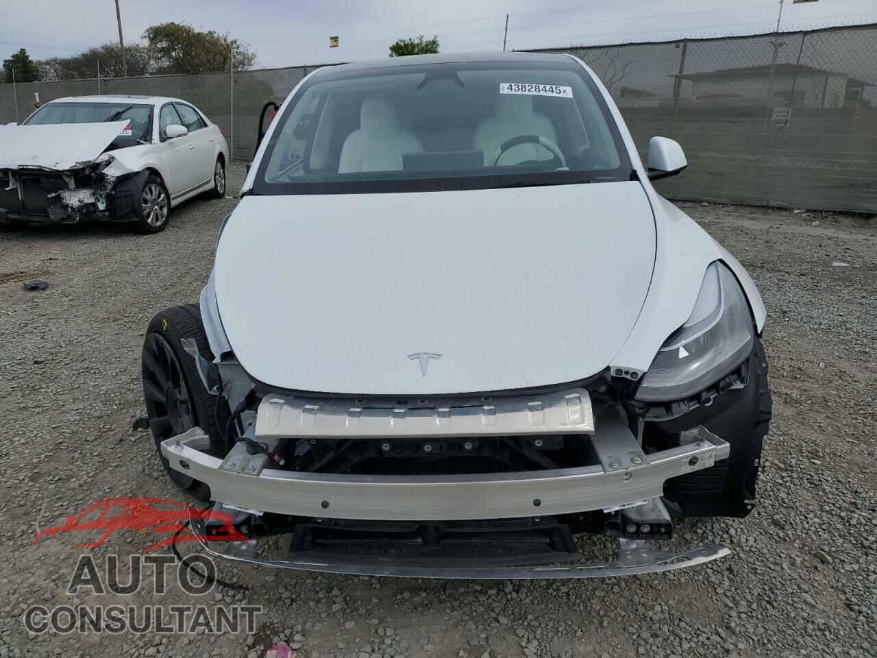 TESLA MODEL Y 2024 - 7SAYGDEE4RF082262