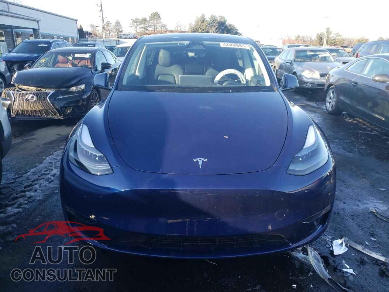 TESLA MODEL Y 2023 - 7SAYGDED8PF959226