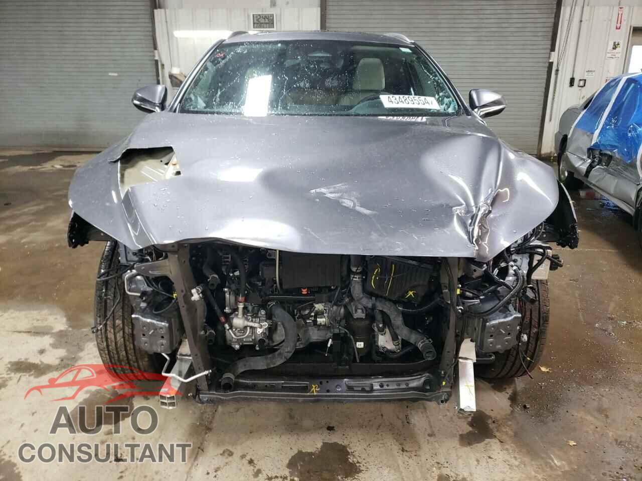 LEXUS RX350 2023 - 2T2BAMCA1PC029634