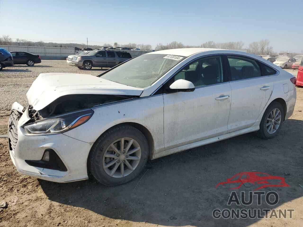 HYUNDAI SONATA 2019 - 5NPE24AF1KH756002