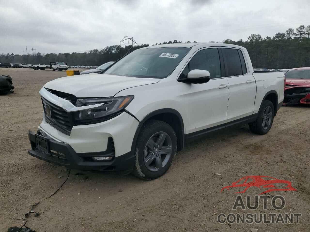 HONDA RIDGELINE 2021 - 5FPYK3F57MB013831