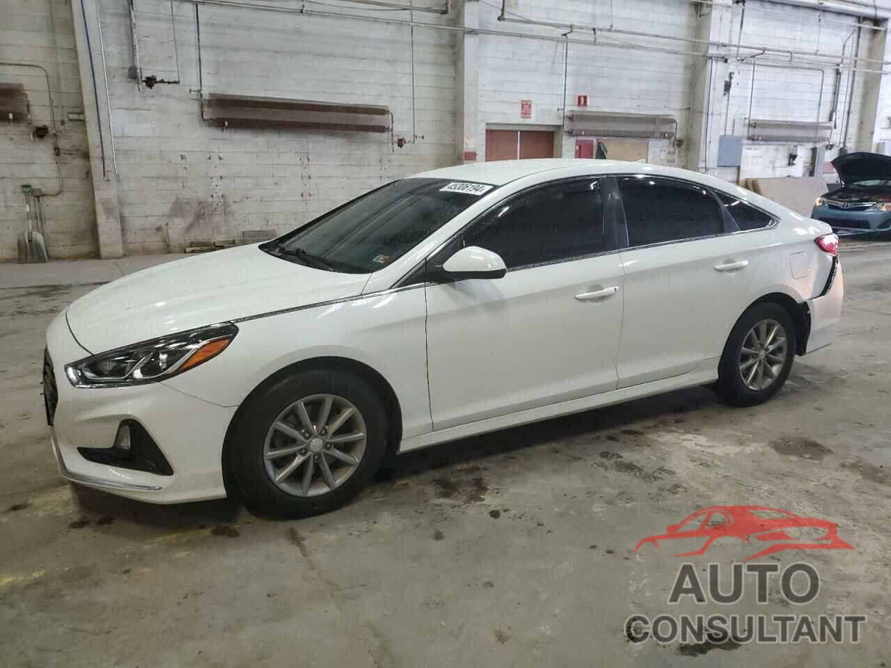 HYUNDAI SONATA 2019 - 5NPE24AF2KH764562